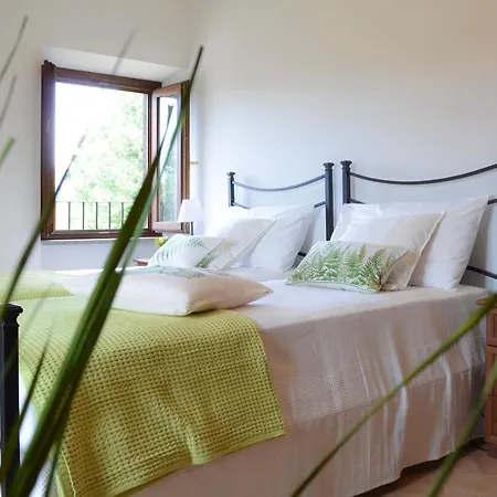 Caratteristico Nel Cuore Della Tuscia Apartment